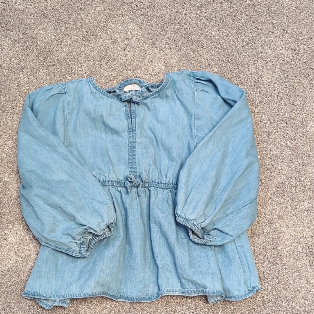 Jcrewcuts Toddler Girl Chambray Top